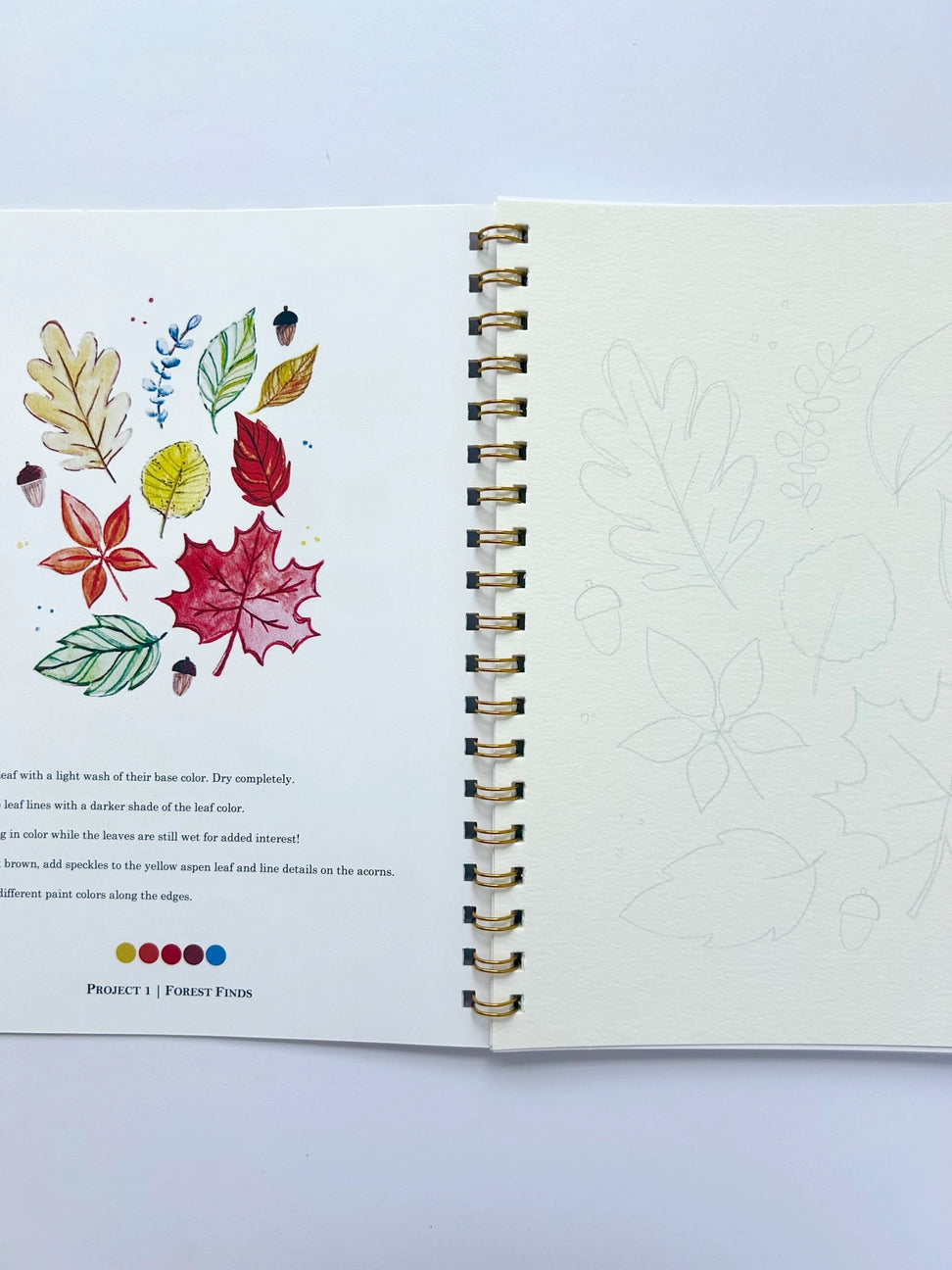 Autumn Watercolor Workbook