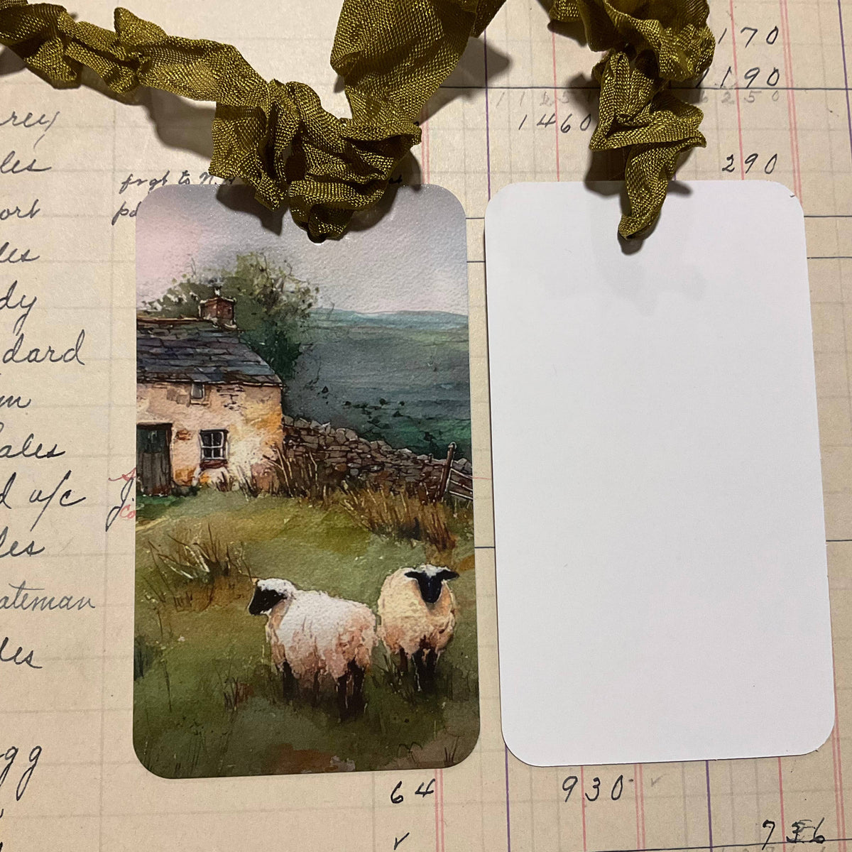 Green Sheep Farm 3pk Tag & Ribbon Set