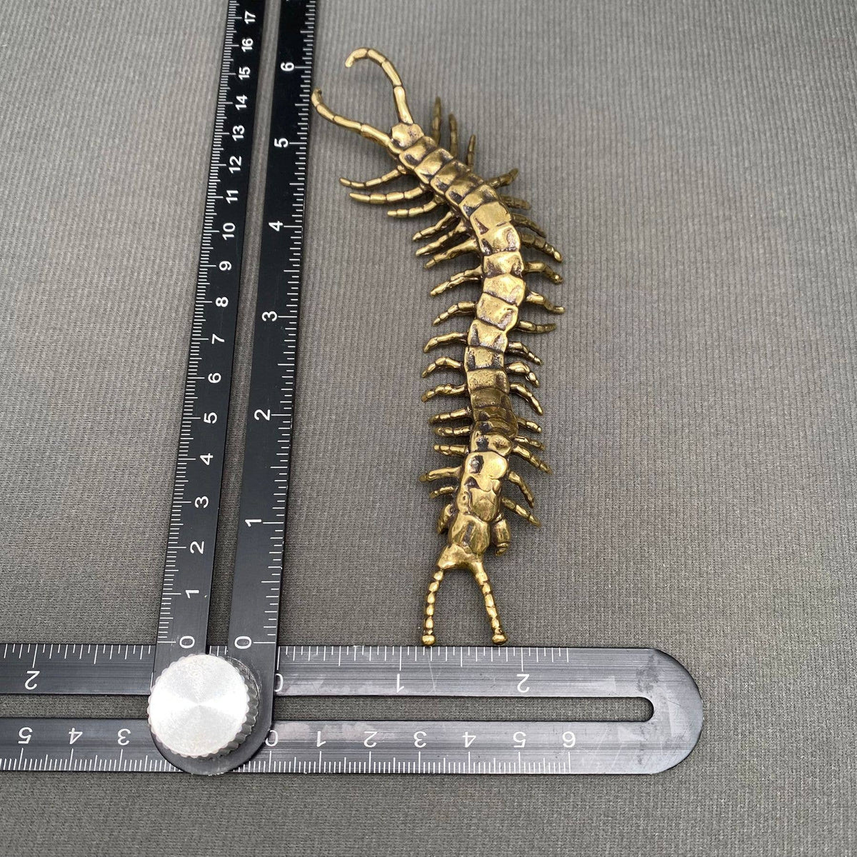 Centipede Bronzed Trinket 69741