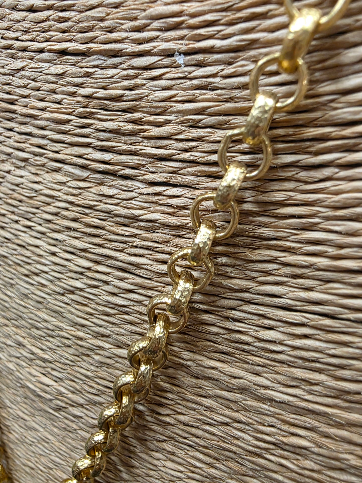 Lion Coin & Crystal Pendant Necklace LN031