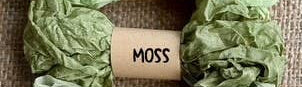Crinkled Ribbon - Moss