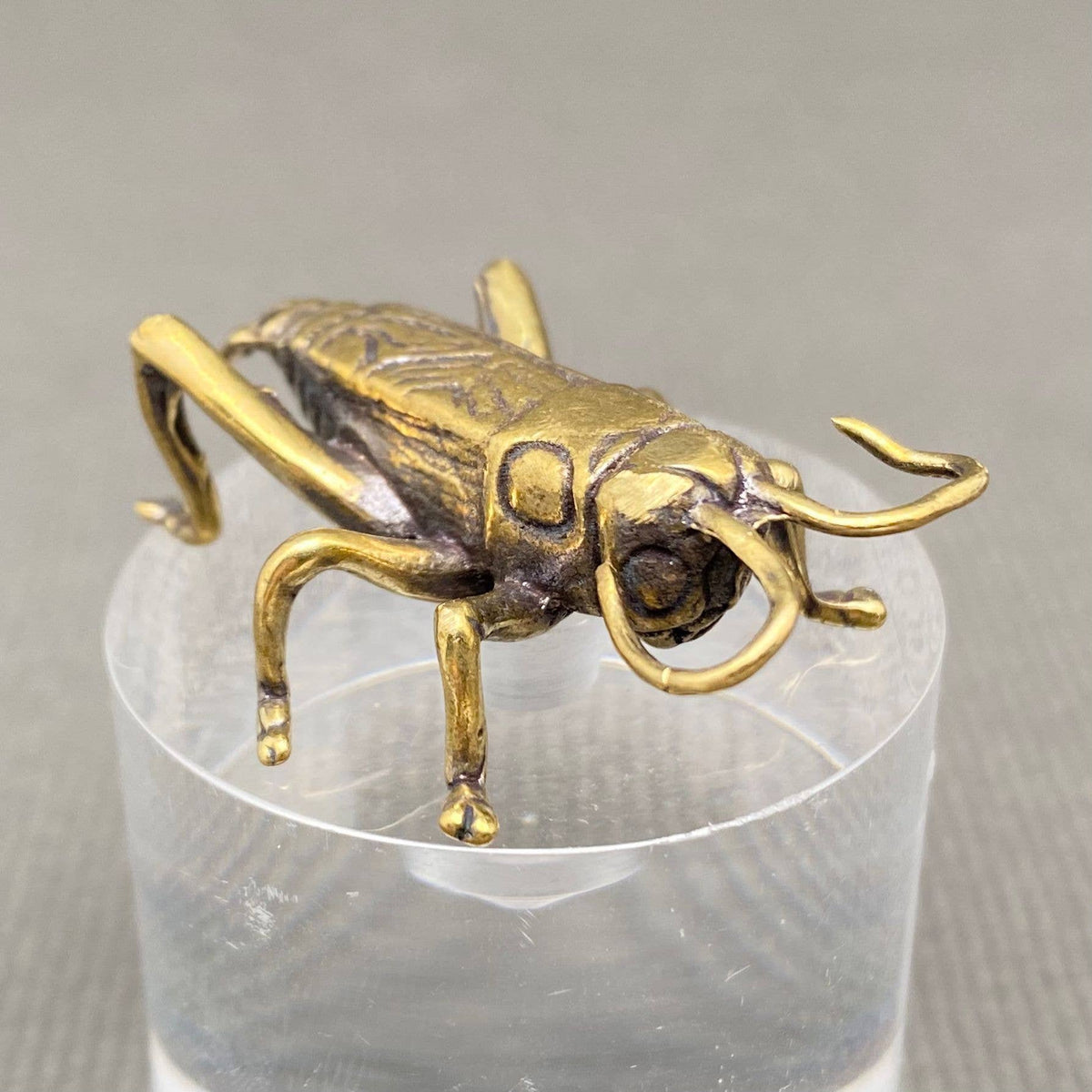 Ancient Cricket Bronzed Trinket 67540