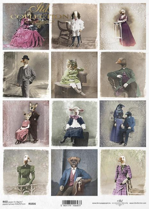 Captivating Animals in Dress Attire R1816 - A4 8.3 x 11.7 Rice Paper by ITD Collection
