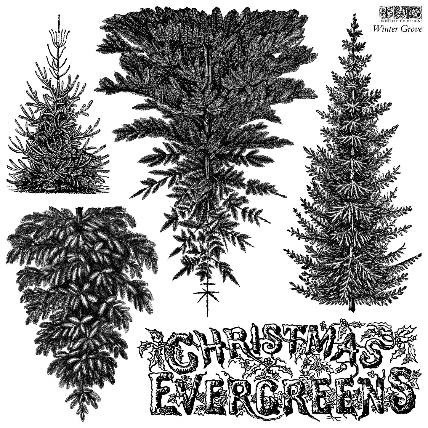 Winter Grove - IOD Decor Stamp 2026