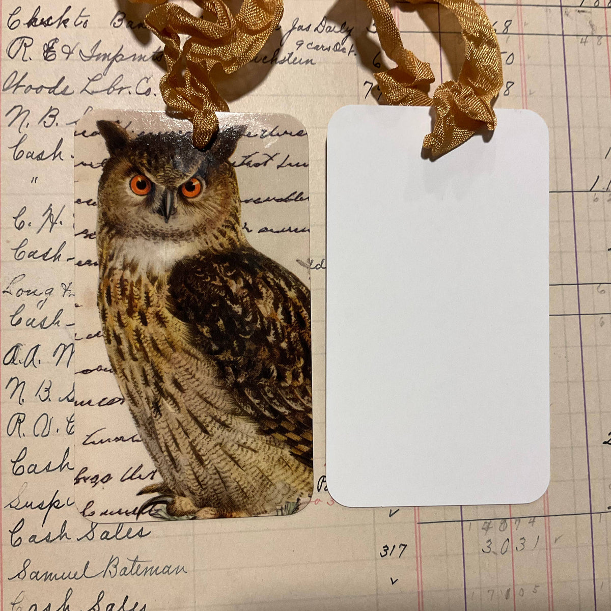 Owl 3pk Tag & Ribbon Set