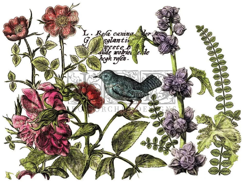 Botanist Journal -4 Sheet, 12x16 Pad IOD Decor Transfer™ 2018