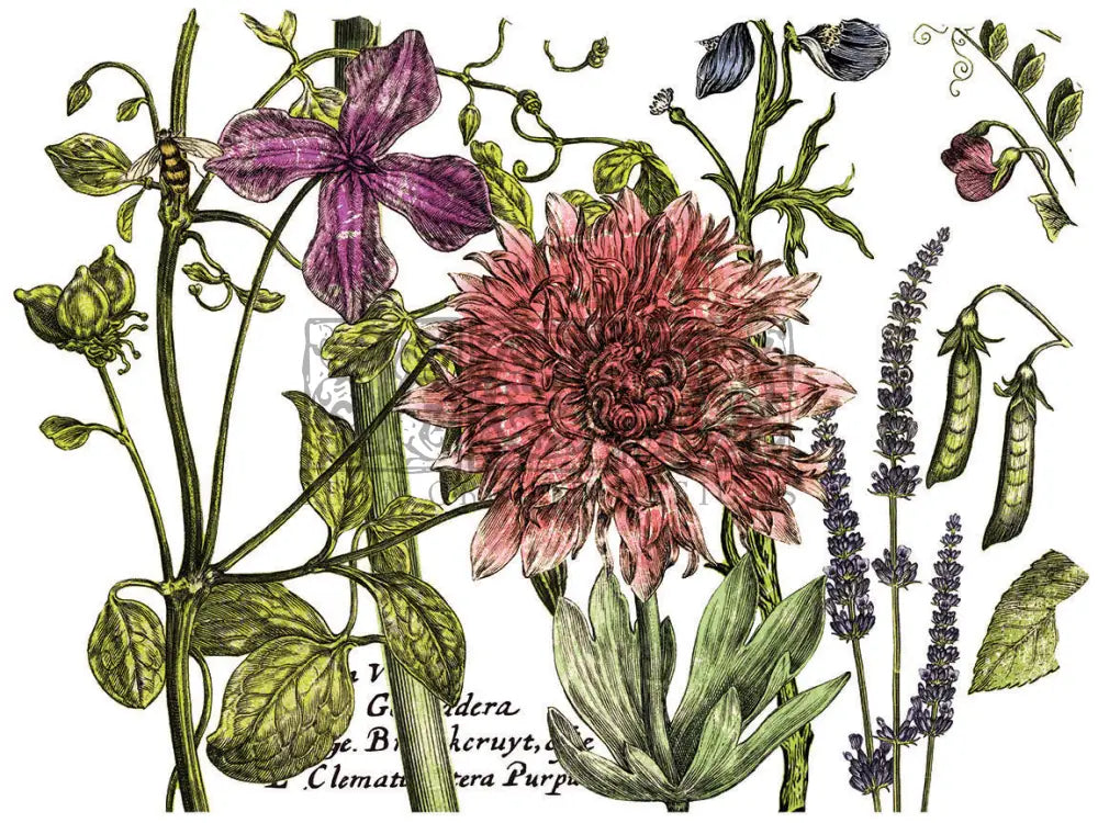 Botanist Journal -4 Sheet, 12x16 Pad IOD Decor Transfer™ 2018