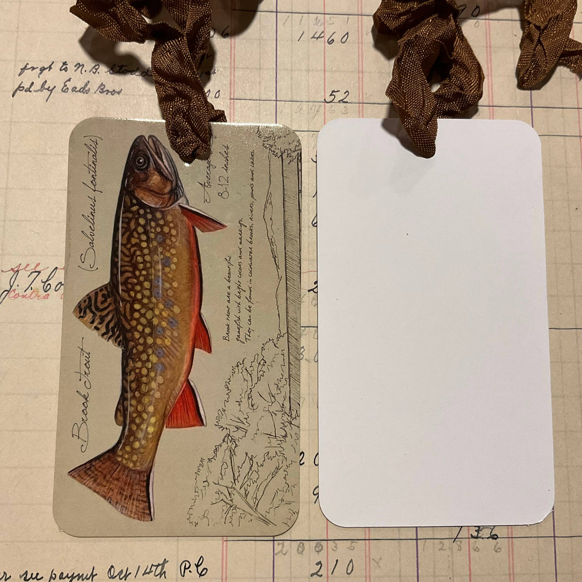 Brown Trout 3pk Tag & Ribbon Set