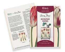 Dutch Tulips 27.6"x 18.9" - Decoupage Paper by Annie Sloan®