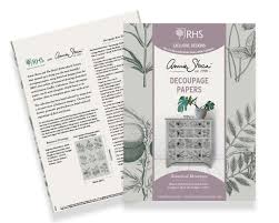 Botanical Drawings 27.6"x 18.9" - Decoupage Paper by Annie Sloan®
