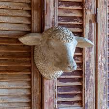 Weathered Sheep's Head - (𝐏𝐢𝐜𝐤-𝐔𝐩 𝐎𝐧𝐥𝐲)