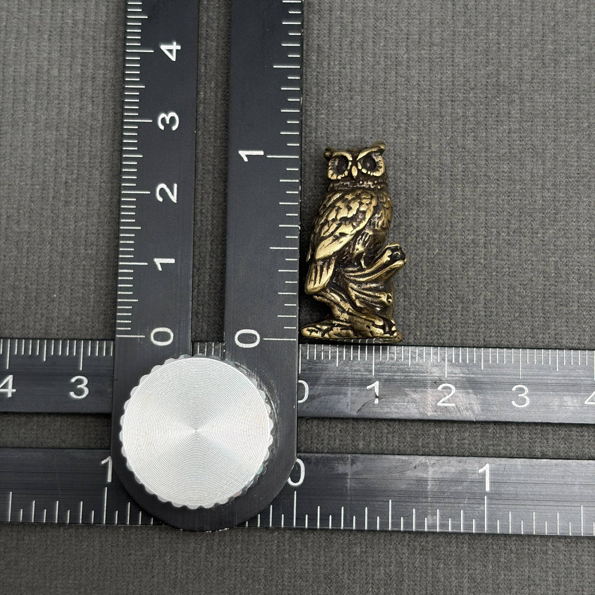 Inquisitive Owl Bronzed Trinket 73413