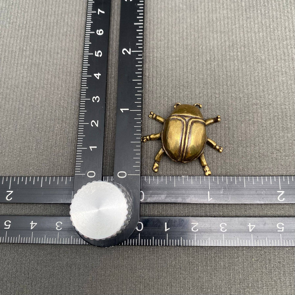 Beetle Bronzed Trinket 71797
