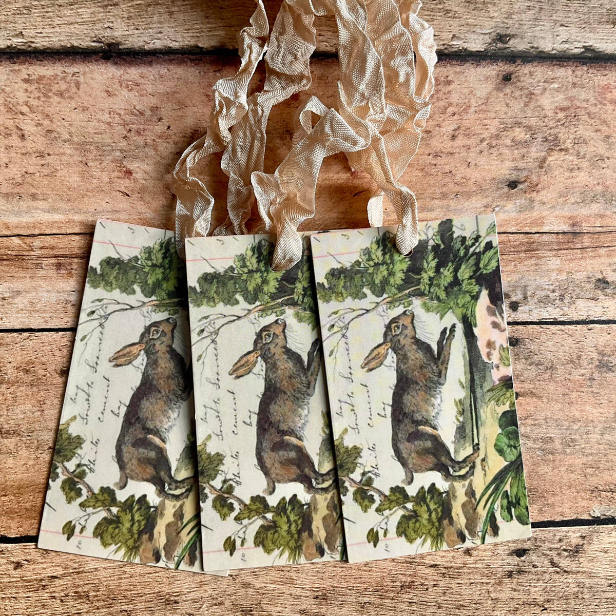 Running Rabbit 3pk Tag & Ribbon Set