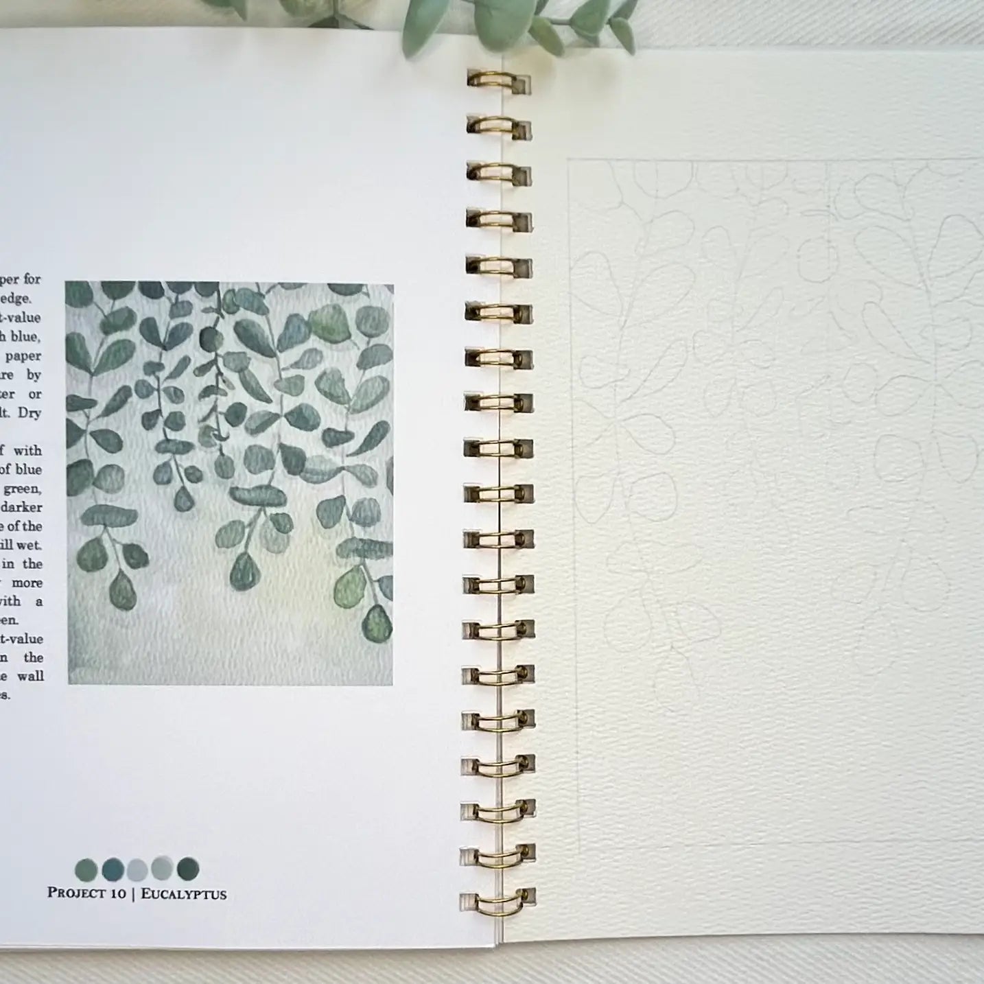 Botanical Watercolor Workbook