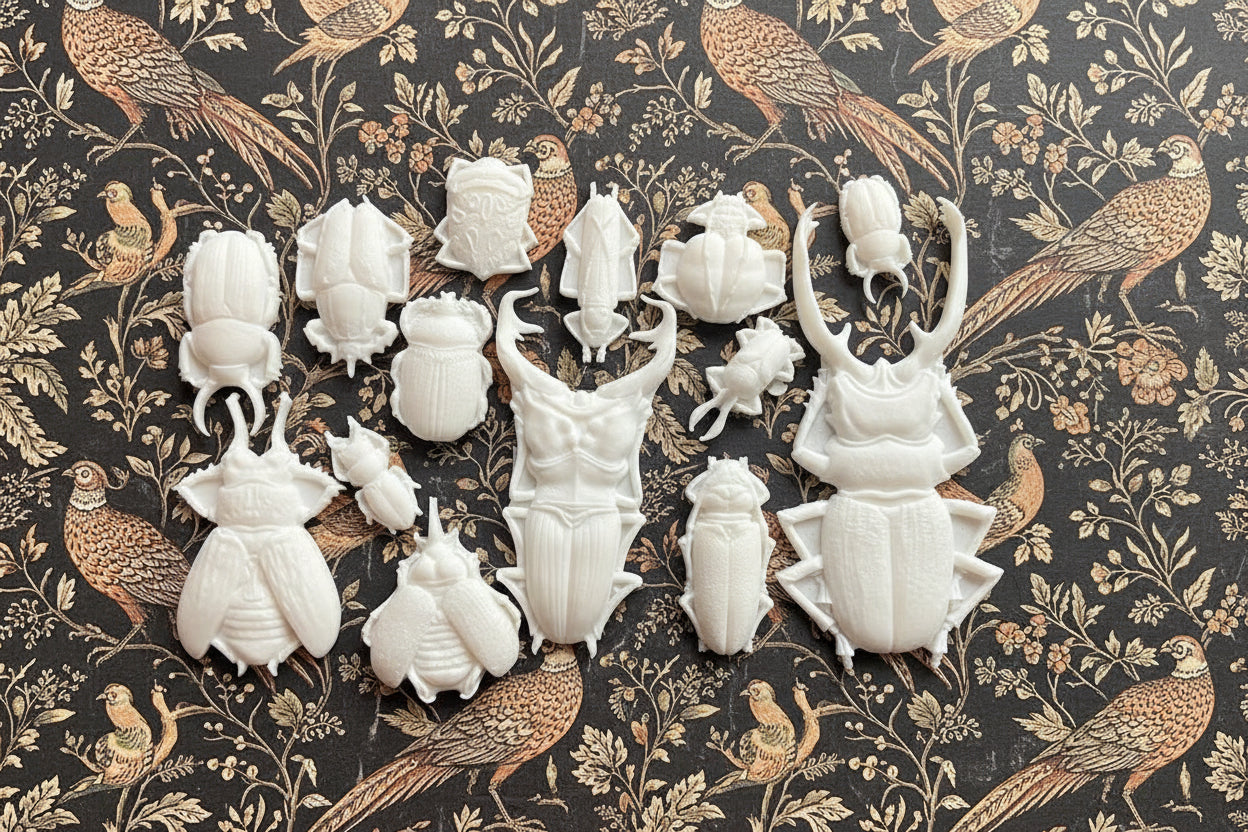 Specimens 2024 - Casted Resin Applique Set