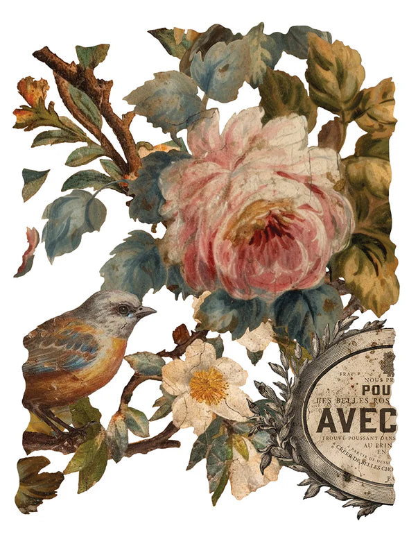 Joie Des Roses - 8 Sheet, 12x16 Pad IOD Decor Transfer™ 2024