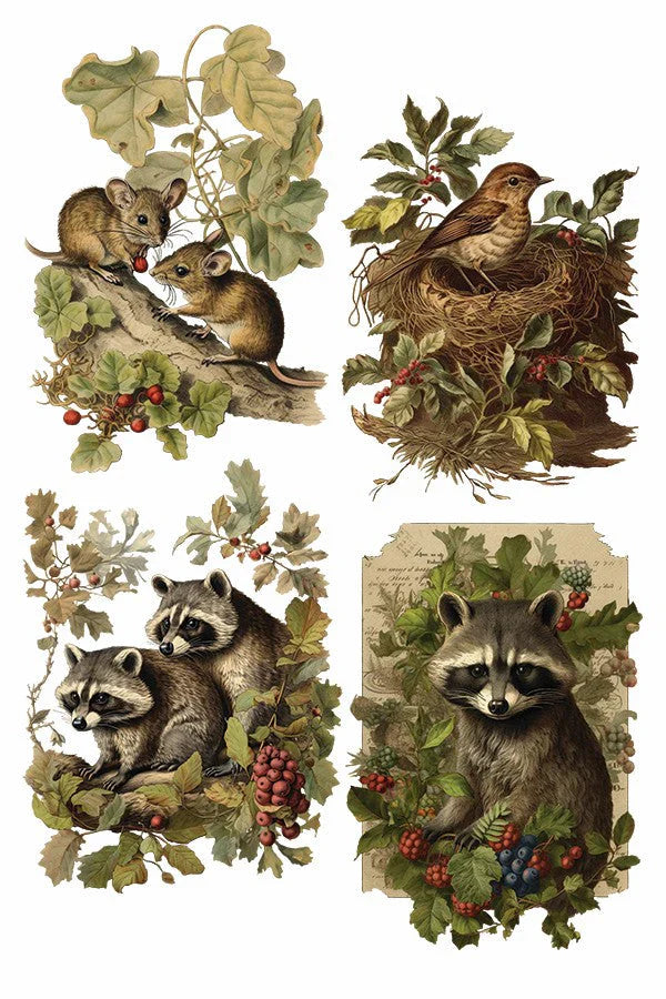 Holly Glen - 8 Sheet, 8x12 Pad IOD Decor Transfer™ 2023