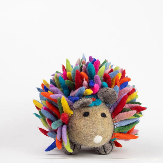 Hedgehog Rainbow Lg - Wool