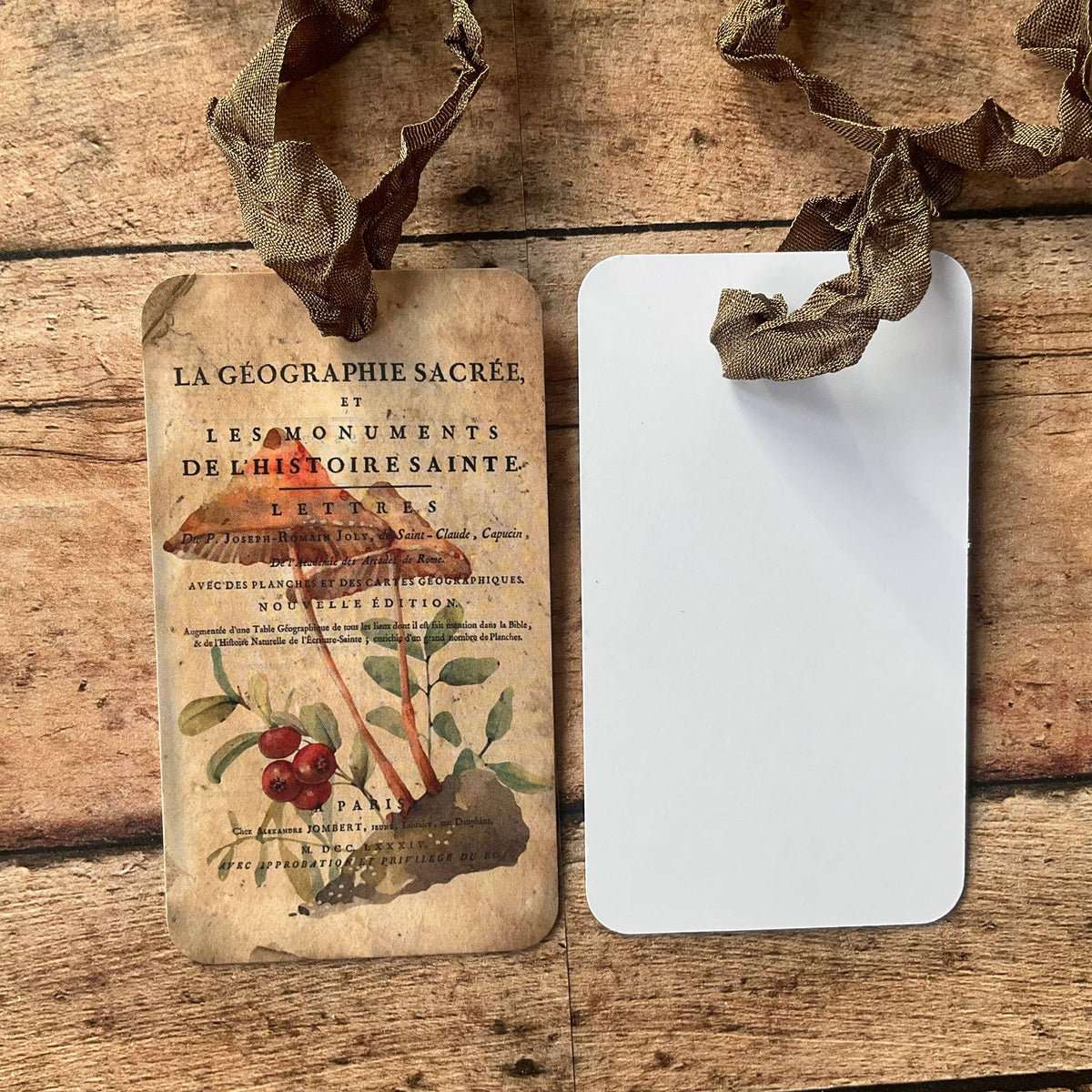 Mushroom 3pk Tag & Ribbon Set