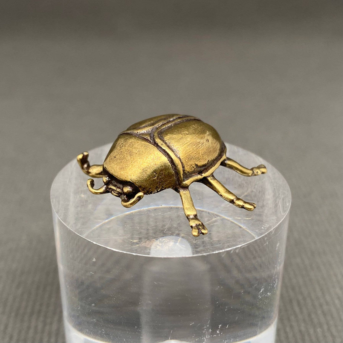 Beetle Bronzed Trinket 71797