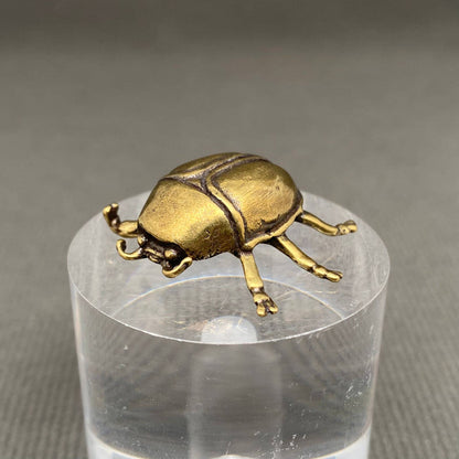 Beetle Bronzed Trinket 71797