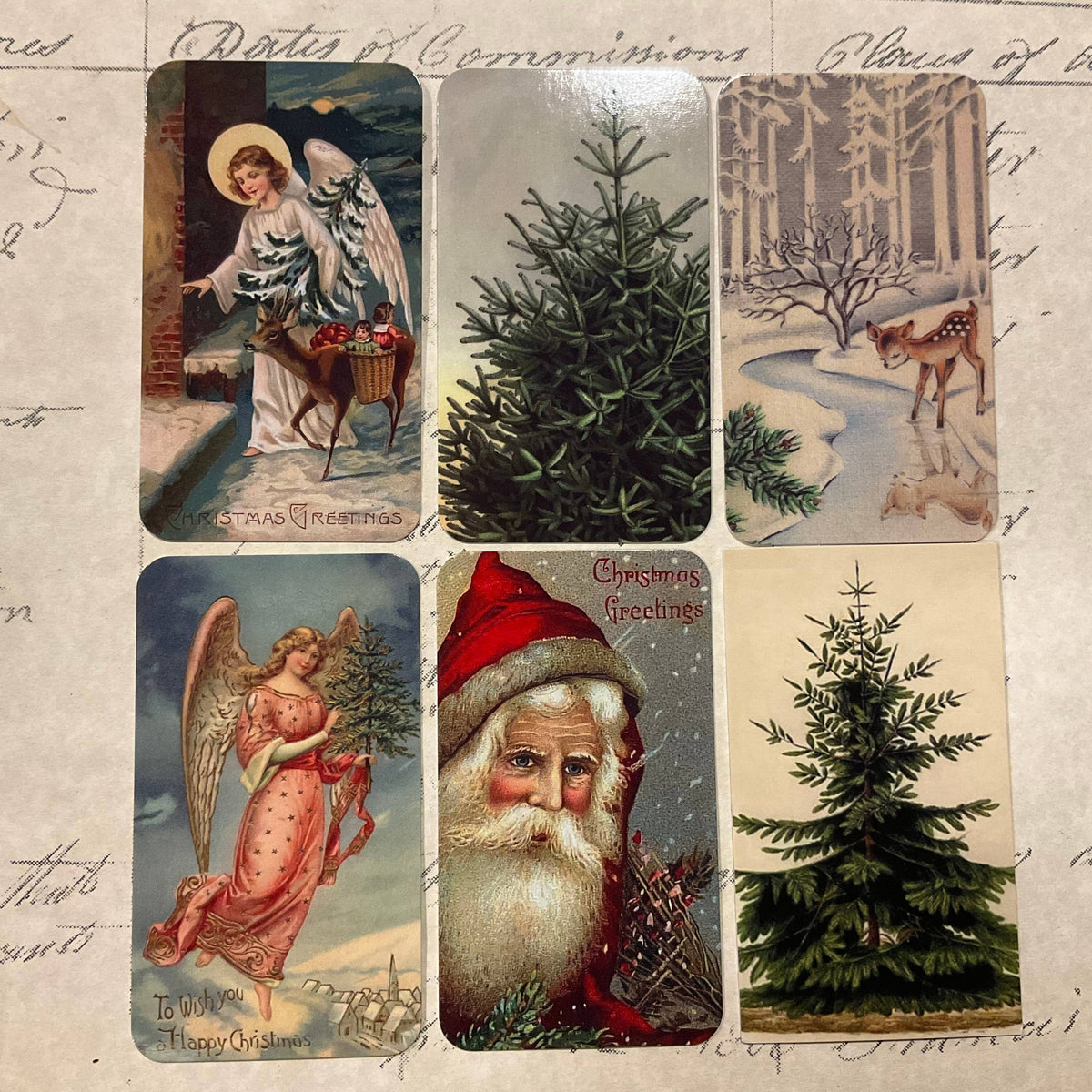 Spruce Blue Angel 6-Tag & Ribbon Set