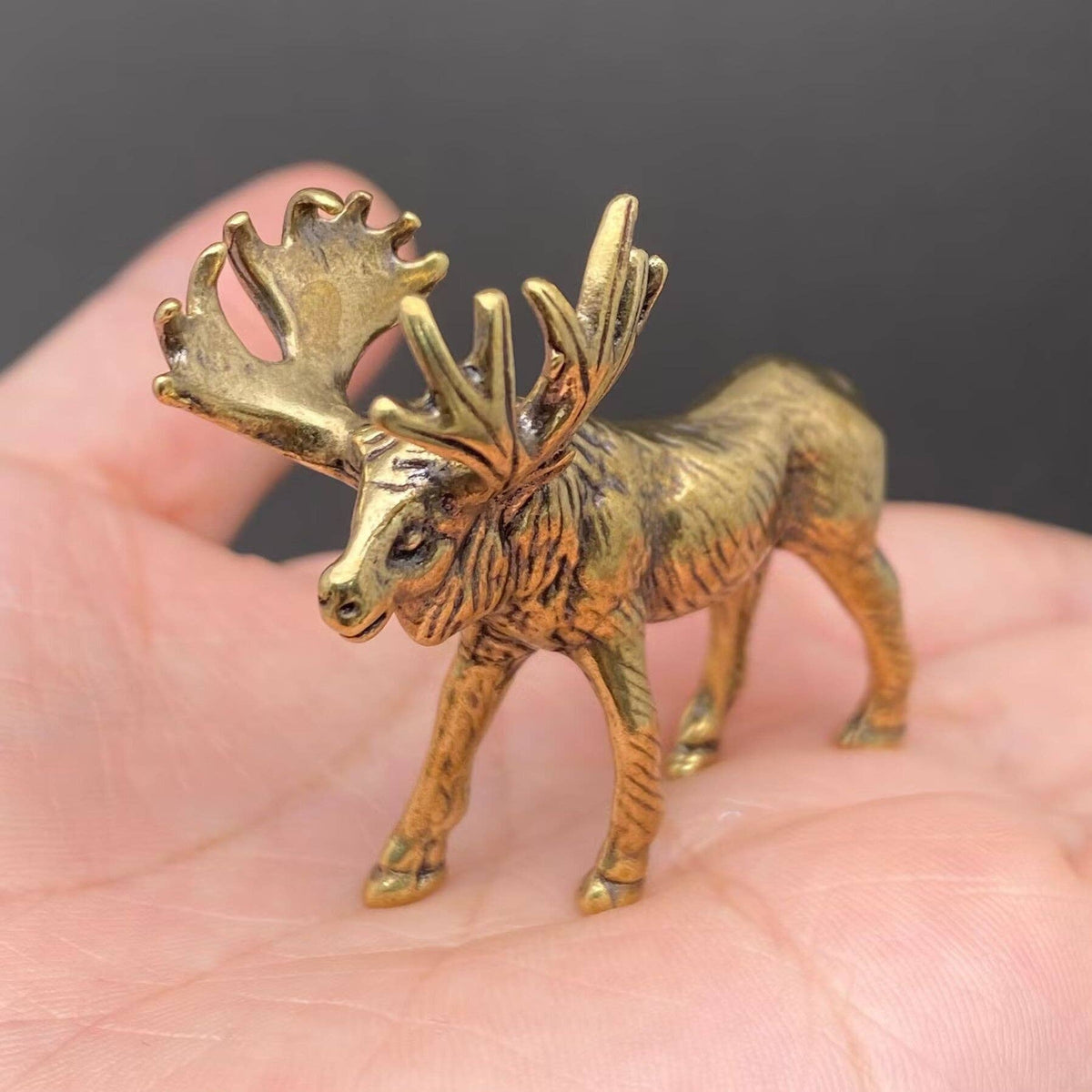 Moose Bronzed Trinket 68241