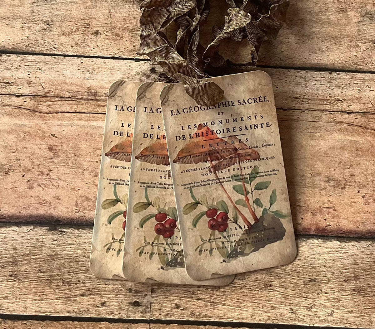 Mushroom 3pk Tag & Ribbon Set
