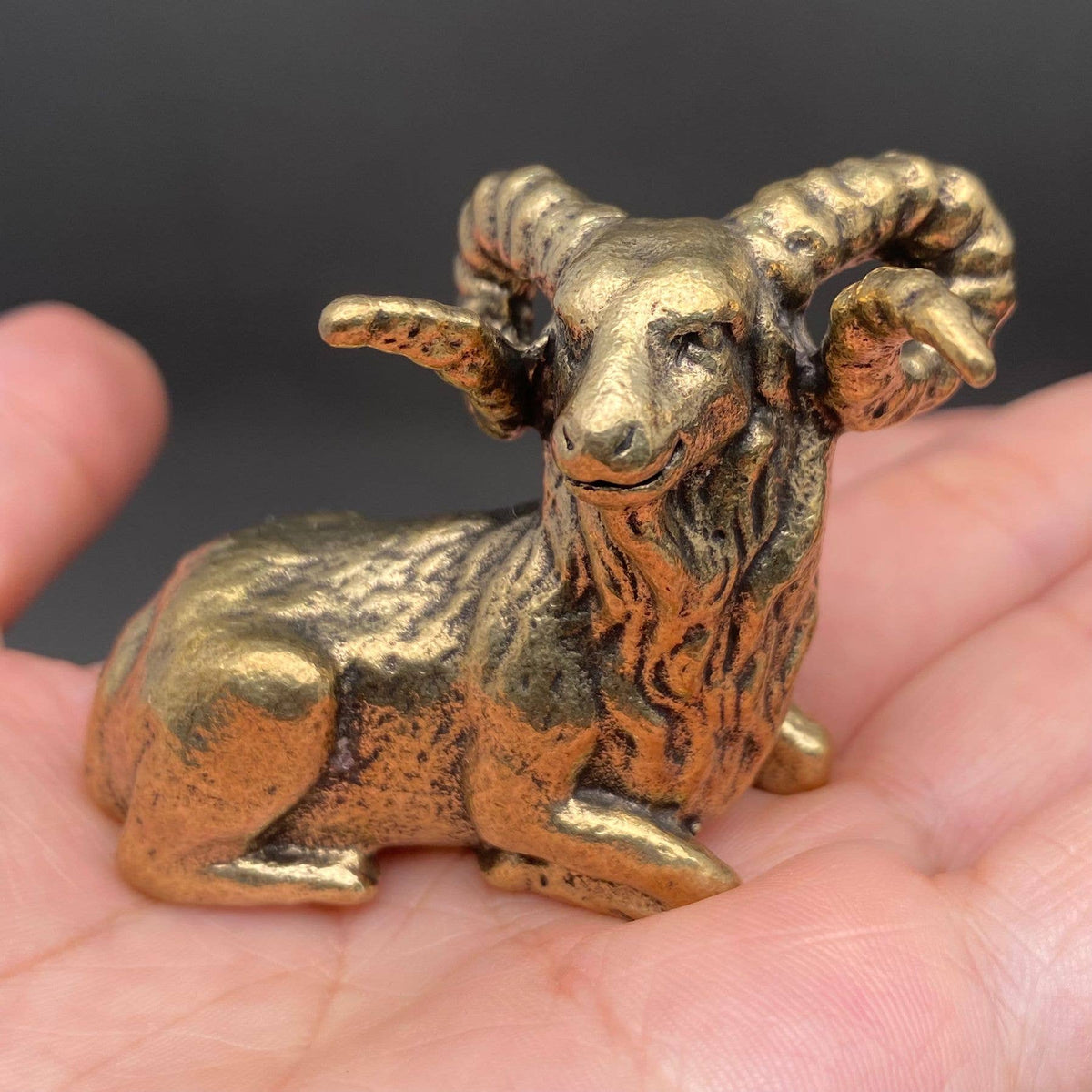Ram Bronzed Trinket 68121