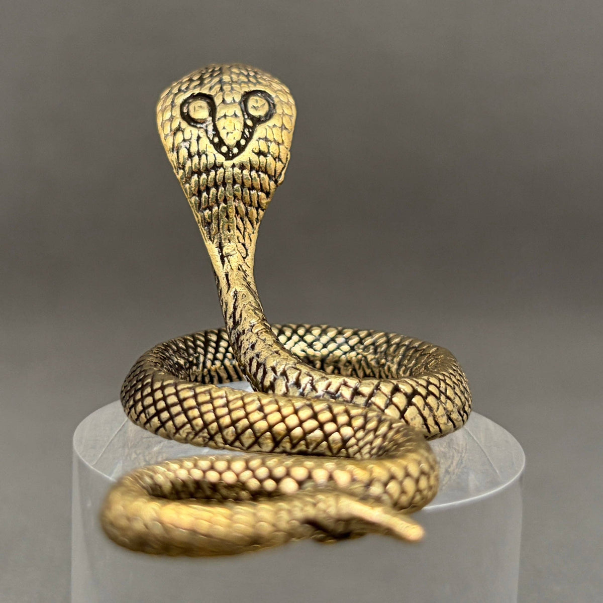 Cobra Snake Bronzed Trinket 73348