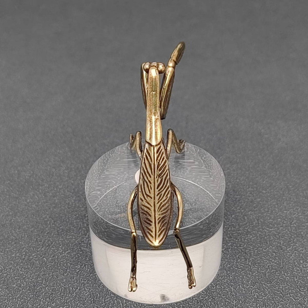 Mantis Bronzed Trinket 62630