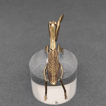 Mantis Bronzed Trinket 62630