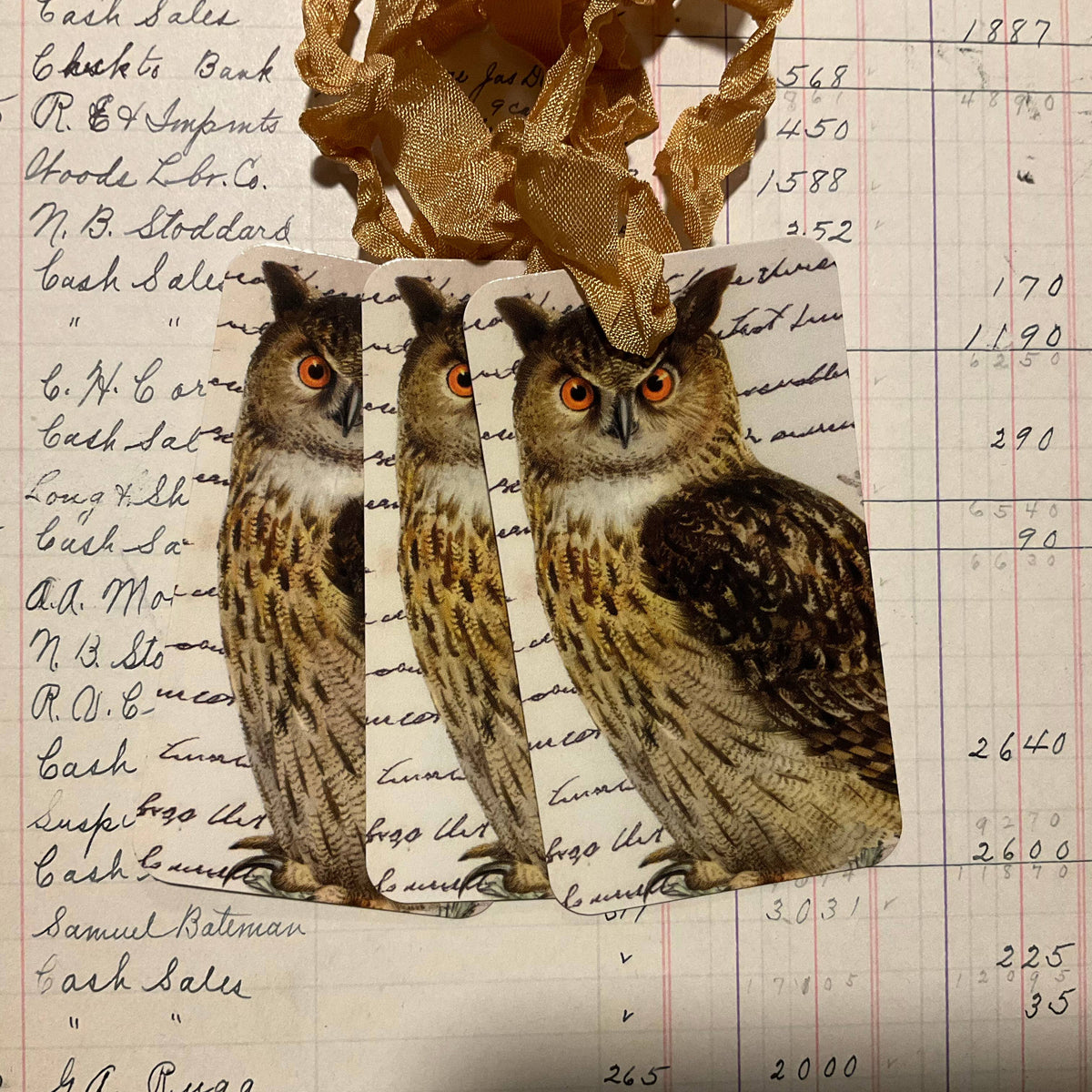 Owl 3pk Tag & Ribbon Set