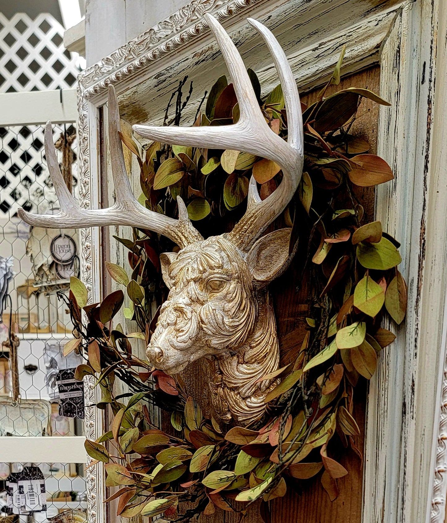 07-11-26 Vintagey Deer Head Mount (12pm-3pm)