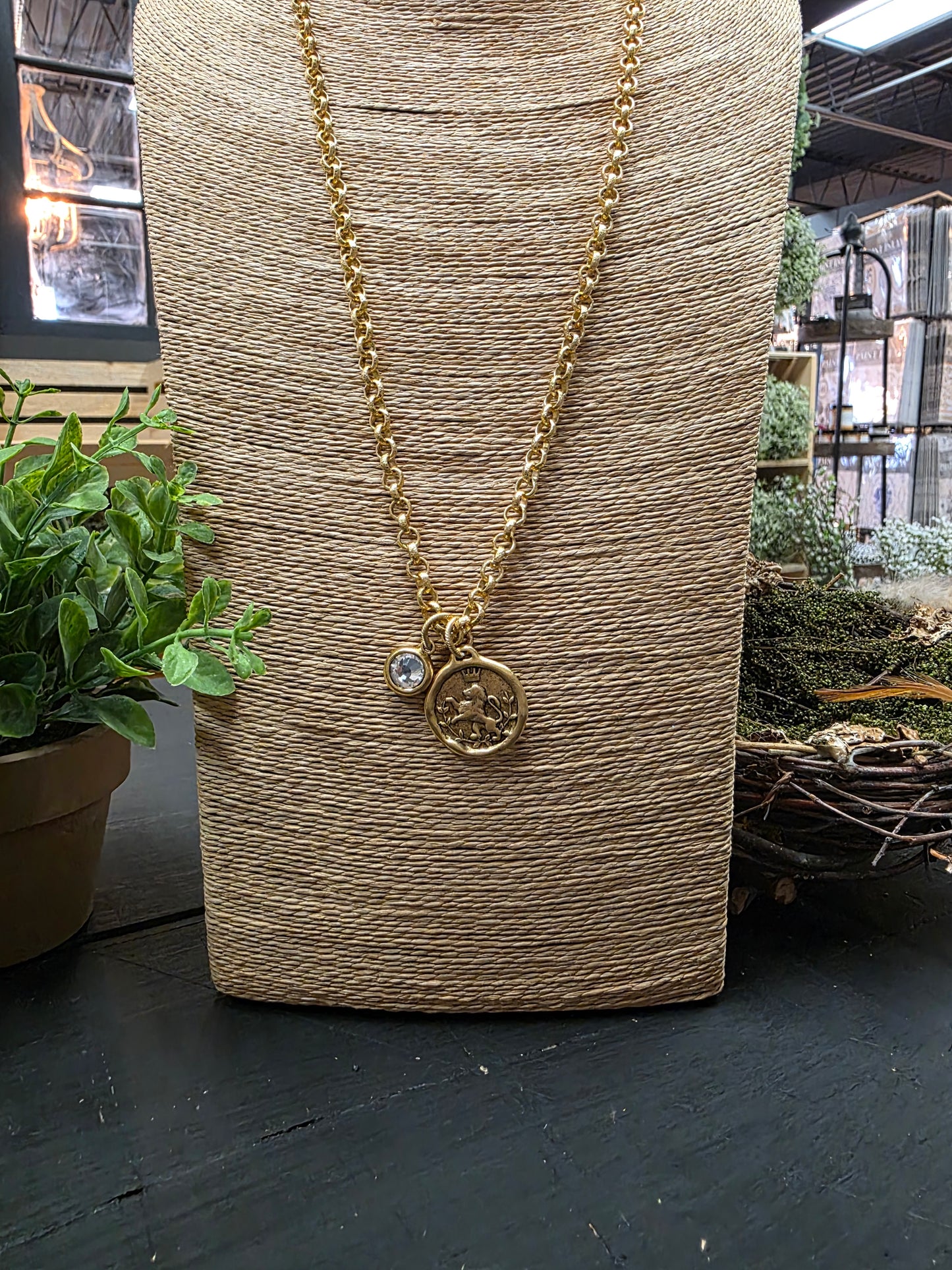 Lion Coin & Crystal Pendant Necklace LN031