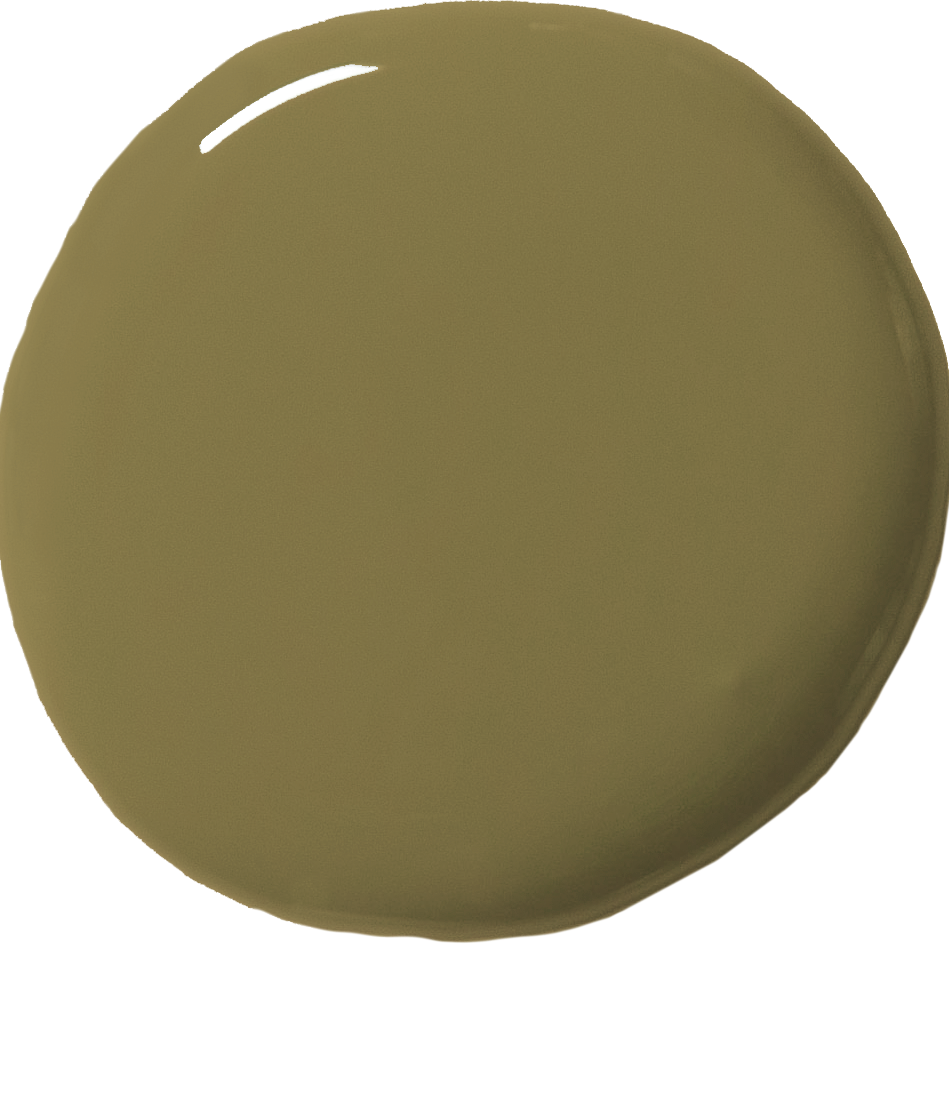 Olive - Wall Paint by Annie Sloan