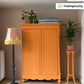 Barcelona Orange - Annie Sloan Chalk Paint®