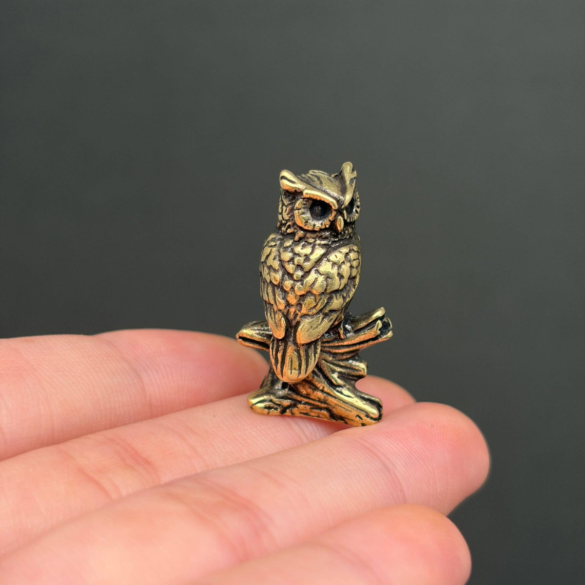 Inquisitive Owl Bronzed Trinket 73413