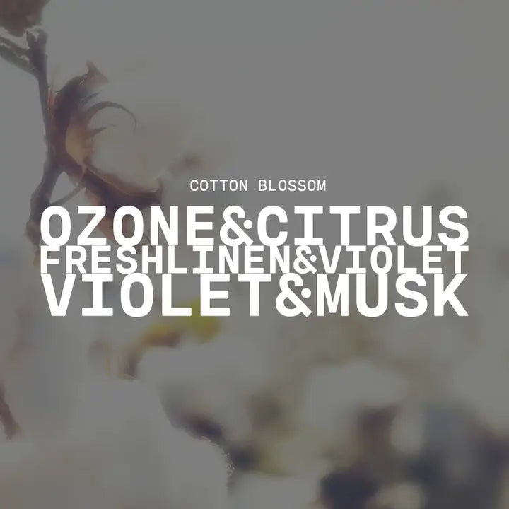 Cotton Blossom 16oz Butter Jar - Milkhouse Candle Company