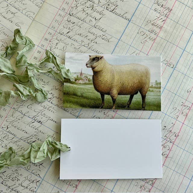 Sheep 3pk Tag & Ribbon Set