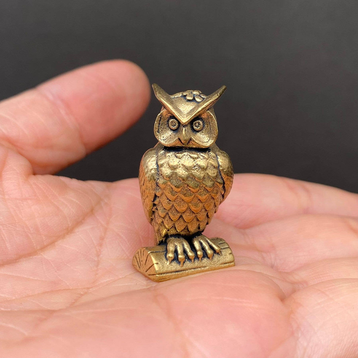 Perched Owl Bronzed Trinket 70435
