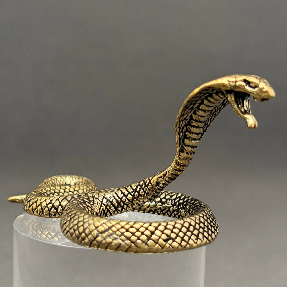 Cobra Snake Bronzed Trinket 73348