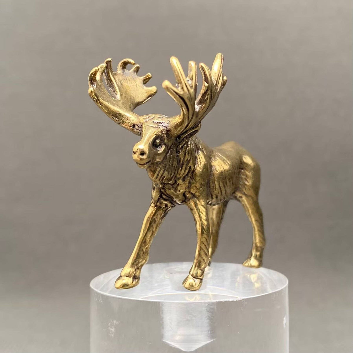 Moose Bronzed Trinket 68241