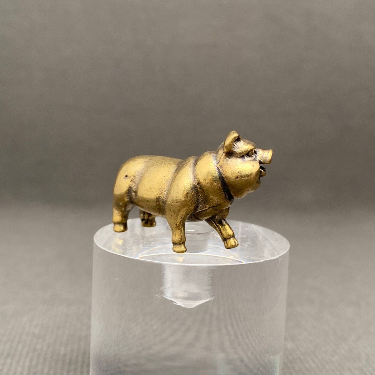 Laughing Pig Bronzed Trinket 70104