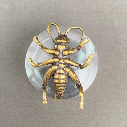Ancient Cricket Bronzed Trinket 67540