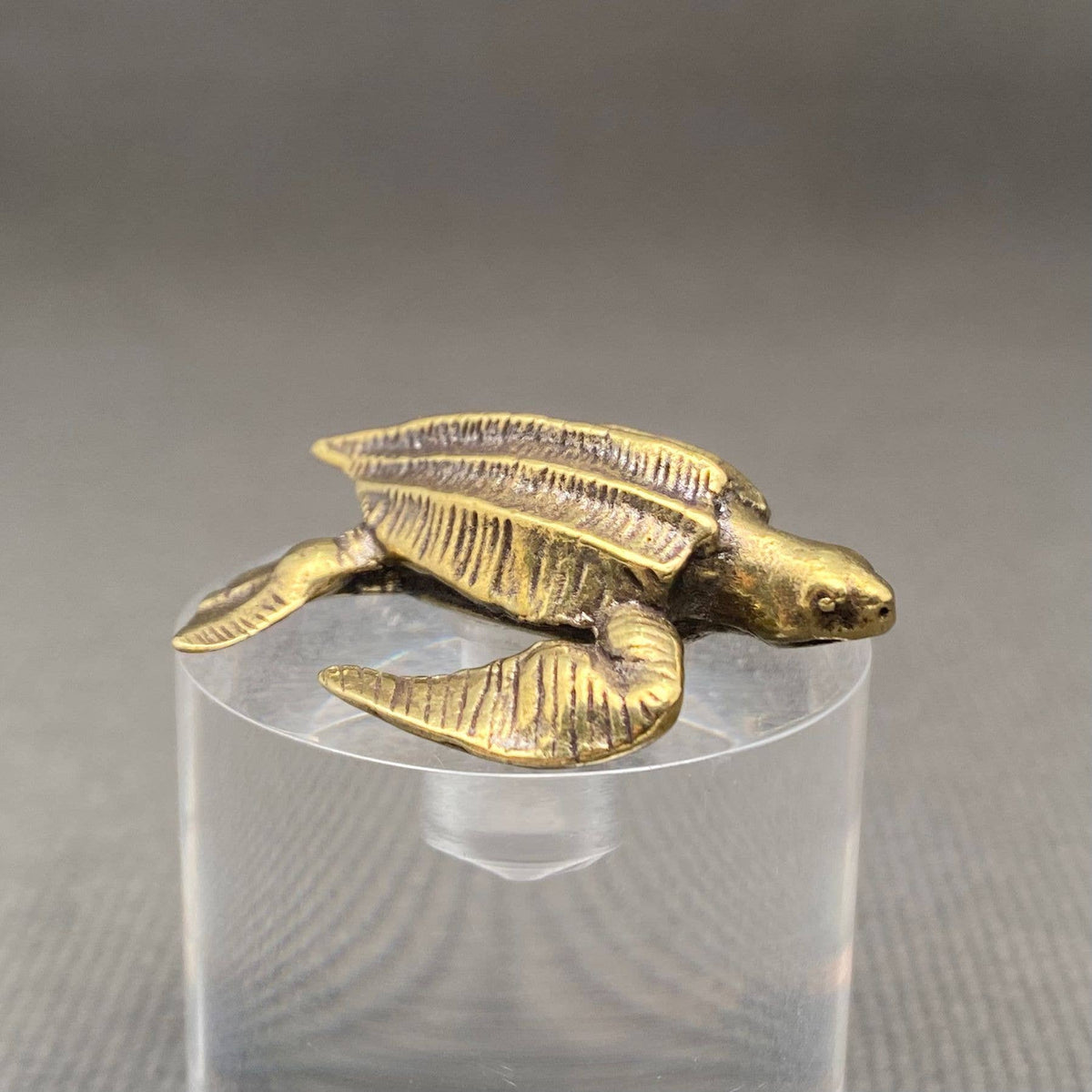 Sea Turtle Bronzed Trinket 67534