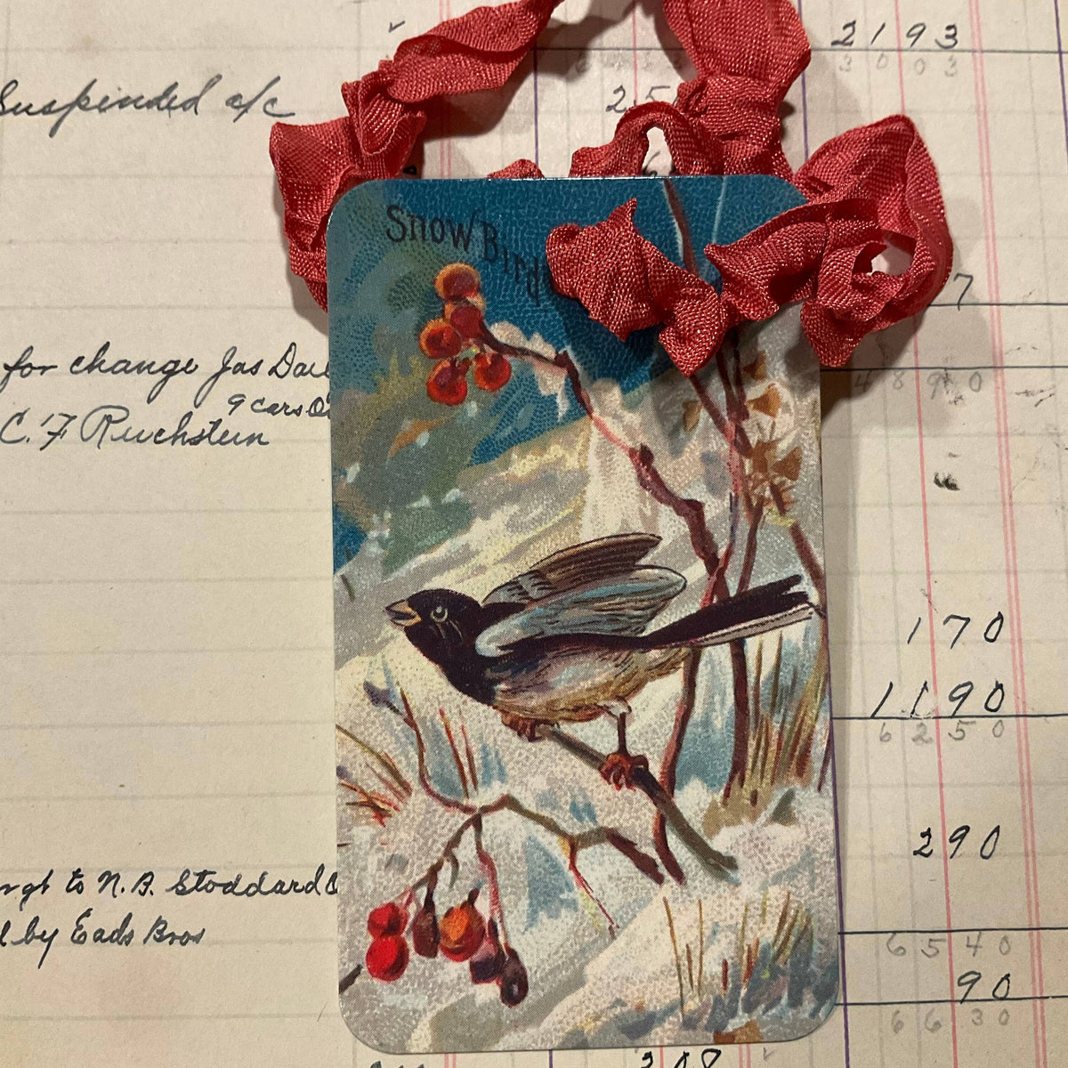 Winter Bird 3pk Tag & Ribbon Set
