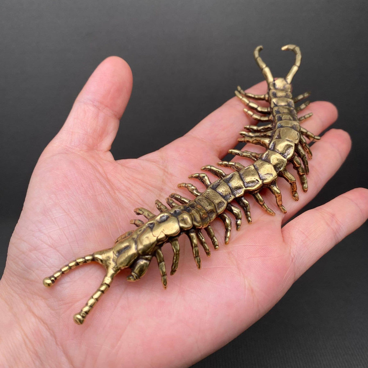 Centipede Bronzed Trinket 69741