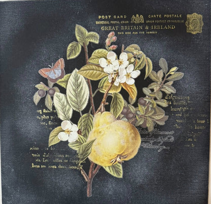 02-21-26 Sat (12pm-2pm) 3pc Panel Art